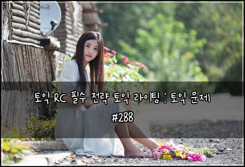 토익 RC 필수 전략 토익 라이팅 : 토익 문제 #288