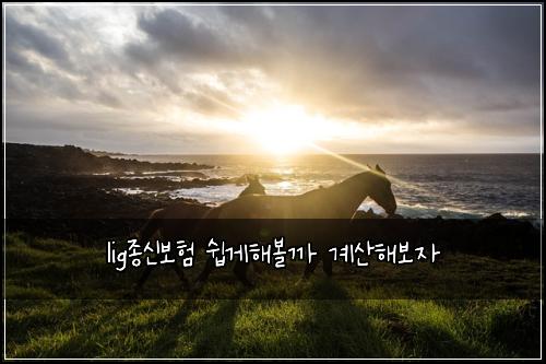 lig종신보험 쉽게해볼까  계산해보자