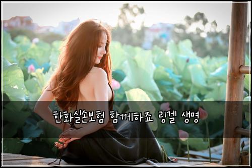 ํํ์ค์๋ณดํ ํจ๊ปํ์ฃ ๋ง๊ฒ ์๋ช