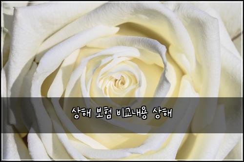 상해 보험 비교내용  상해