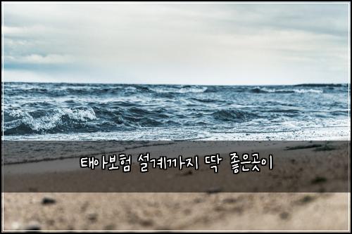 태아보험 설계까지  딱 좋은곳이