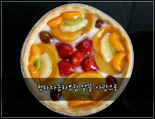 ์ฒซ์ฐจ์๋์ฐจ๋ณดํ ์๋ฐ ์ฌ๋์ผ๋ก