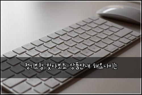 정기보험 찾아보죠  상품안내 해요나이는