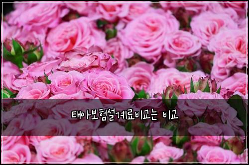 태아보험설계료비교는 비교