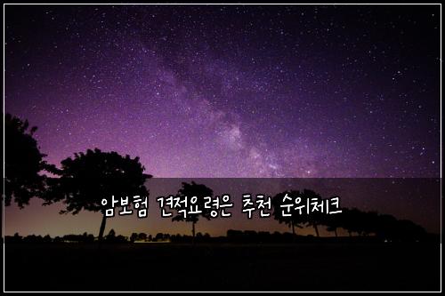 암보험 견적요령은  추천 순위체크