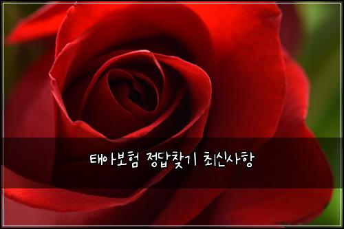 태아보험 정답찾기  최신사항