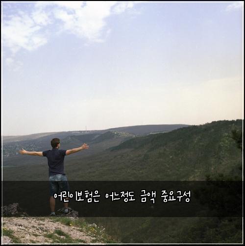 어린이보험은 어느정도 금액 중요구성