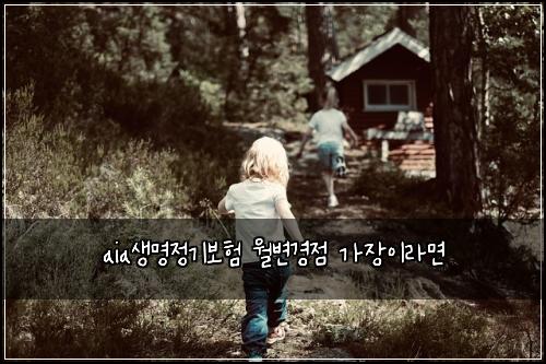 aia생명정기보험 월변경점  가장이라면