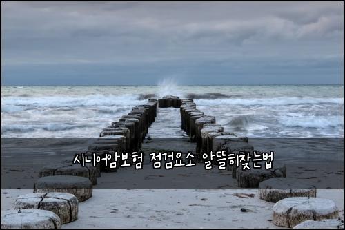์๋์ด์๋ณดํ ์ ๊ฒ์์ ์๋ฐํ์ฐพ๋๋ฒ