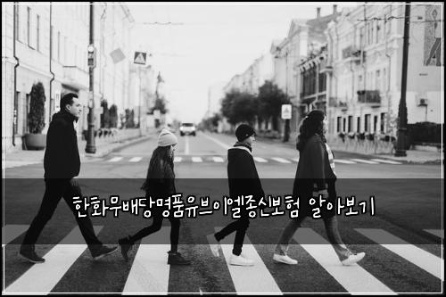 한화무배당명품유브이엘종신보험 알아보기
