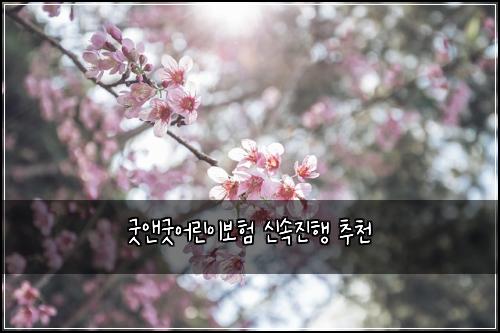 ๊ตฟ์ค๊ตฟ์ด๋ฆฐ์ด๋ณดํ ์ ์์งํ ์ถ์ฒ