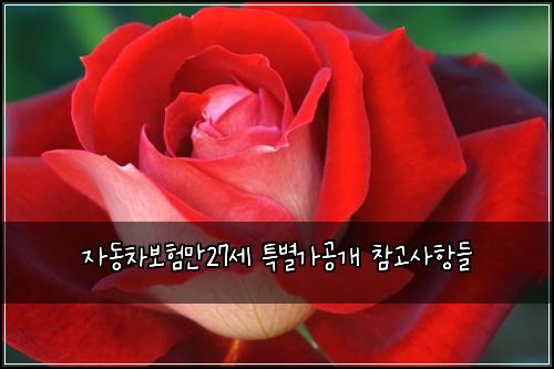 자동차보험만27세 특별가공개 참고사항들