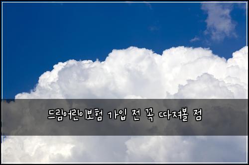 드림어린이보험 가입 전 꼭 따져볼 점