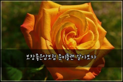 보장좋은암보험 준비플랜  알아보자