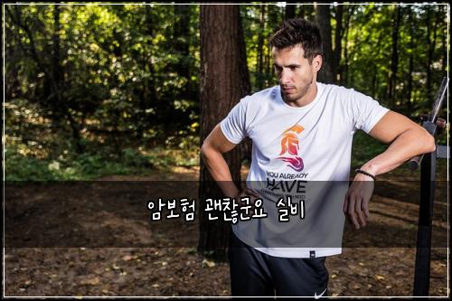 암보험 괜찮군요  실비