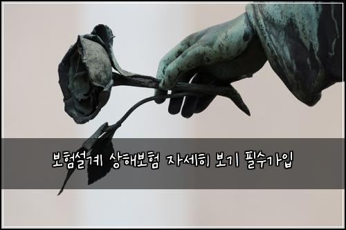 ๋ณดํ์ค๊ณ ์ํด๋ณดํ ์์ธํ ๋ณด๊ธฐ ํ์๊ฐ์