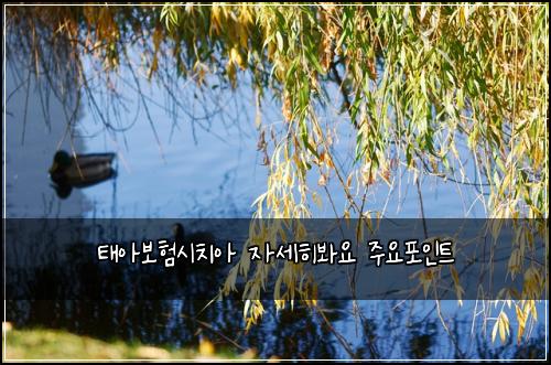 ํ์๋ณดํ์์น์ ์์ธํ๋ด์ ์ฃผ์ํฌ์ธํธ
