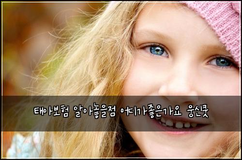 태아보험 알아놓을점  어디가좋은가요 웅신쿳