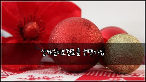 ์ํด์ค๋น๋ณดํ๋ฃ๋ฅผ ์ ํ๊ฐ์