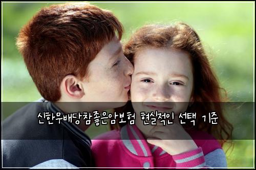 신한무배당참좋은암보험 현실적인 선택 기준
