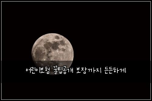 어린이보험 꿀팁공개  보장까지 든든하게