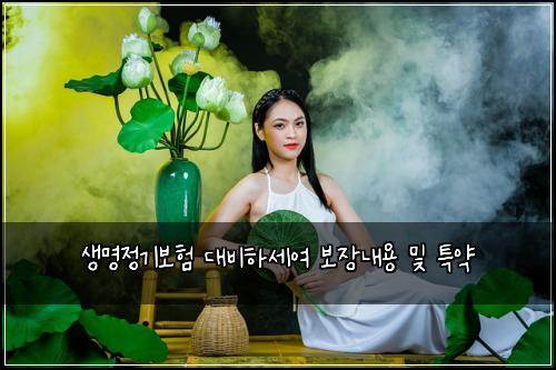 생명정기보험 대비하세여  보장내용 및 특약