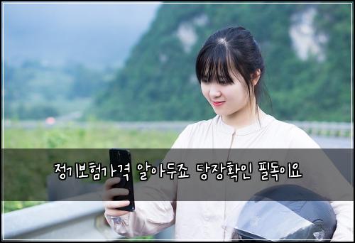 정기보험가격 알아두죠 당장확인 필독이요