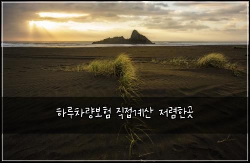 ํ๋ฃจ์ฐจ๋๋ณดํ ์ง์ ๊ณ์ฐ ์ ๋ ดํ๊ณณ