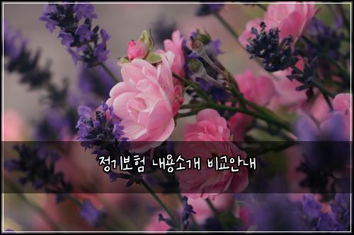 ์ ๊ธฐ๋ณดํ ๋ด์ฉ์๊ฐ ๋น๊ต์๋ด
