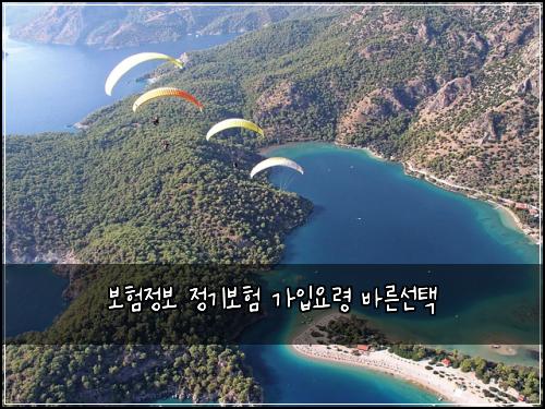 보험정보 정기보험 가입요령 바른선택