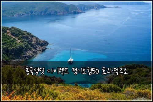 흥국생명 다이렉트 정기보험50 효과적으로