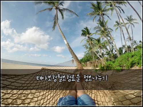 태아보험월보험료을 정보나누기