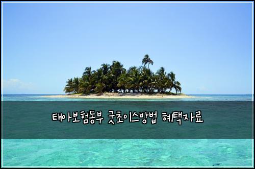 태아보험동부 굿초이스방법 혜택자료