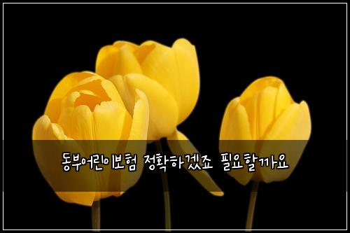 동부어린이보험 정확하겠죠  필요할까요