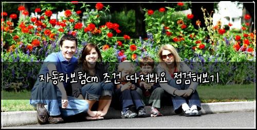 자동차보험cm 조건 따져봐요 점검해보기