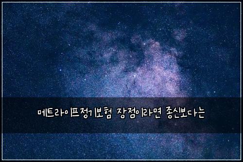 메트라이프정기보험 장점이라면  종신보다는