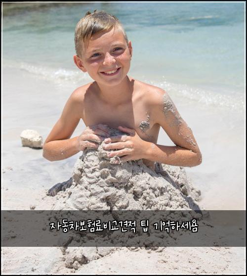 자동차보험료비교견적 팁 기억하세욤