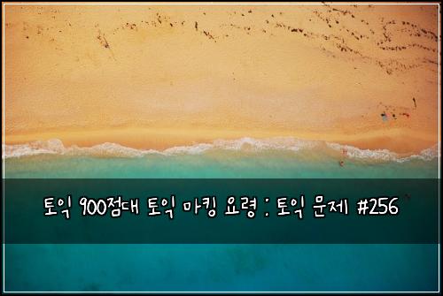 토익 900점대 토익 마킹 요령 : 토익 문제 #256