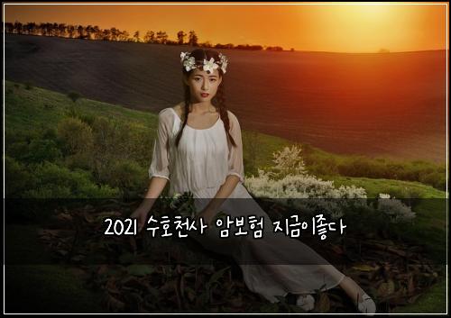 2021 수호천사 암보험 지금이좋다 