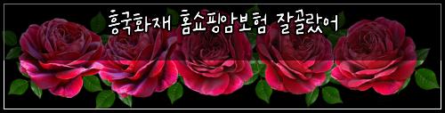 흥국화재 홈쇼핑암보험 잘골랐어 
