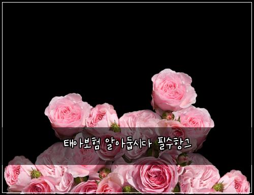 태아보험 알아둡시다  필수항그