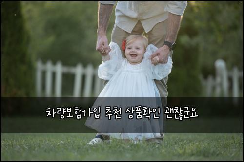 ์ฐจ๋๋ณดํ๊ฐ์
์ถ์ฒ ์ํํ์ธ ๊ด์ฐฎ๊ตฐ์