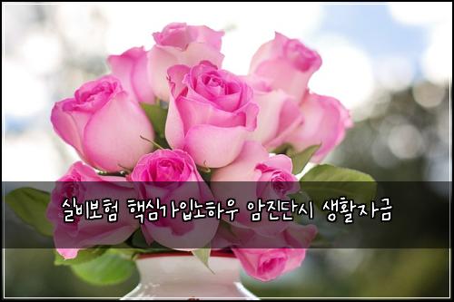 ์ค๋น๋ณดํ ํต์ฌ๊ฐ์
๋
ธํ์ฐ ์์ง๋จ์ ์ํ์๊ธ