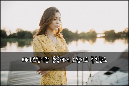 ํ์๋ณดํ์ด๋ ํ์์์ ๋ณดํ๋น๊ต ์ถ์ฒ์ข์