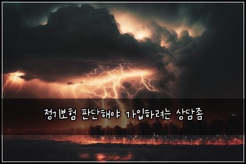 정기보험 판단해야  가입하려는 상담좀