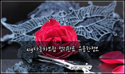 aig์๋์ฐจ๋ณดํ ์ ๋ฆฌ์๋ฃ ์ ์ฉํ์ ๋ณด