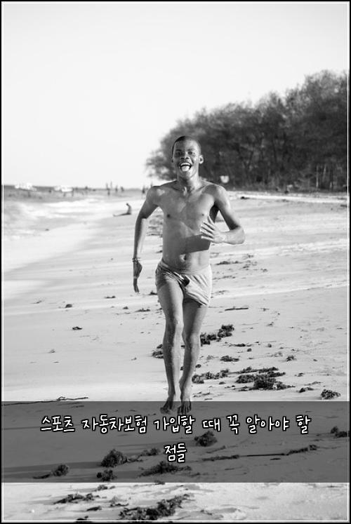 스포츠 자동차보험 가입할 때 꼭 알아야 할 점들