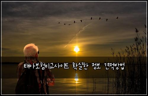 태아보험비교사이트 확실한 정보 견적방법