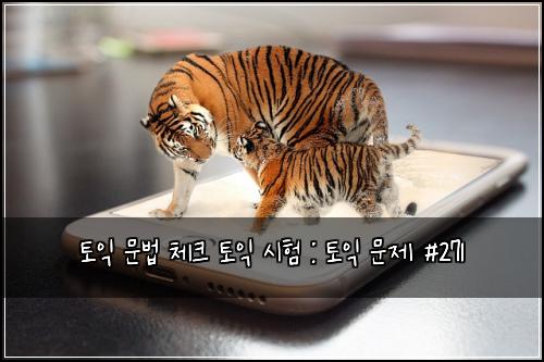 토익 문법 체크 토익 시험 : 토익 문제 #271