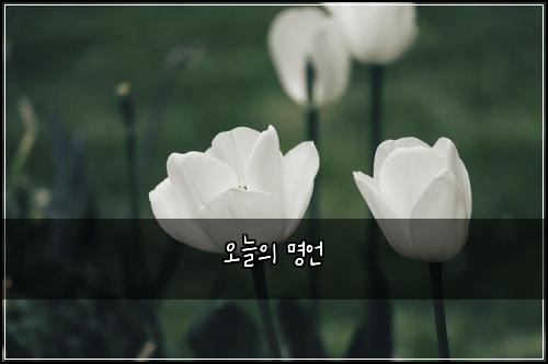 ์ค๋์ ๋ช
์ธ